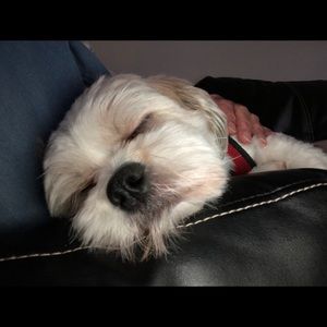 Meet your Posher, Steven